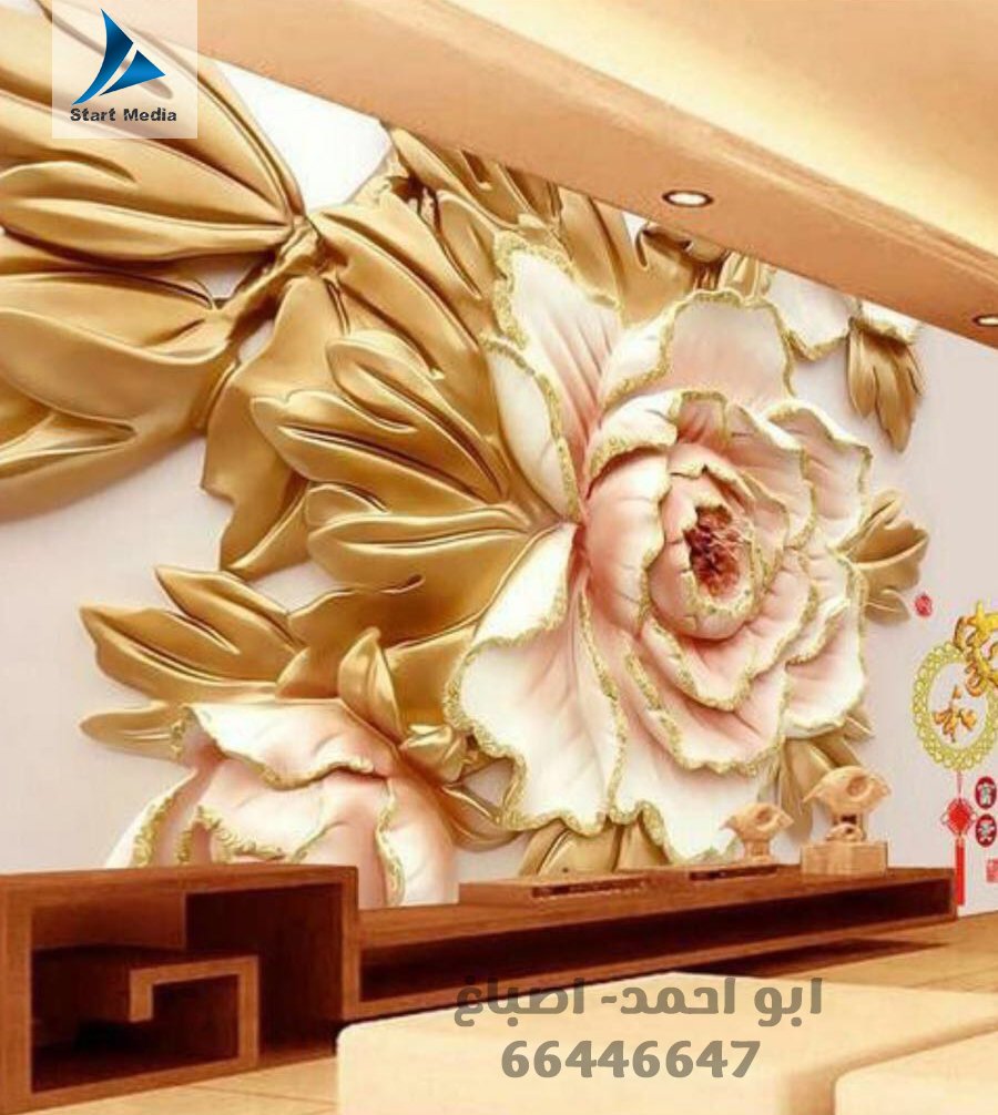 صورة من أعمال اصباغ ابو احمد